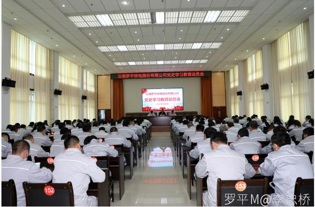 云南罗平锌电股份有限公司召开党史学习教育动员会